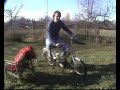 Peugeot moped 101-MS 1973