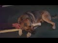 FILE0001.MOV