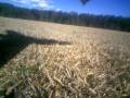 High flying R/c airplane