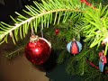 our xmas last decemeber, here in the uk.

i've uploaded it again because i am moving my family videos here, to a dedicated channel (in case you are wondering why a christmas video is getting put on youtube in april!)
