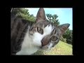 YouTubeサムネイル[TR6cRldB70I] - 3枚目