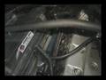 Mofo-KB Cobra,WhippleCobra,GT35r 240,mofobucs and