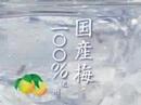 伊藤園 梅涼み 岩田さゆり