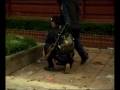 Thai Police Shoot PAD