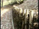 (www.tv1.si) ?martinsko jezero bo za?ivelo