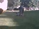 my friend gettin hit with a soccerball my friend gettin hit with a soccerball