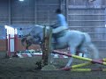 Pony Dumpage Pony Dumpage