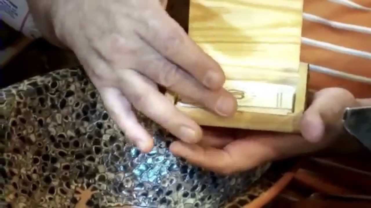 Tinjacá: La Huella de la Tagua - Documental