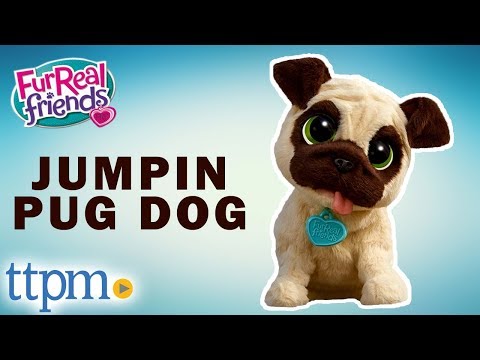 furreal friends pug furreal friends j j my jumpin pug from hasbro the furreal friends pug furreal friends j j my jumpin pug from hasbro the
