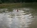 Стою вверх ногами под водой