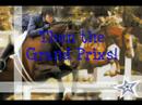jivaro-iii-etalon-poney-connemara-1m35-en-grand-prix-cheval.html