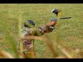 Xtreme Paintball Park Caguas, PR - Episode #1