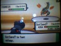 Pokemon Wi-Fi Battle Vs Merle