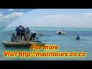 about mauritius 2006