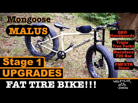 fat bike rigid fork