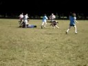 Try de Comer