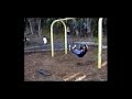 little jose does backflip off swing onto skateboard....SIICK little jose does backflip off swing onto skateboard....SIICK