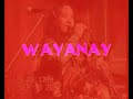 WAYANAY - Pica Flor en VIVO