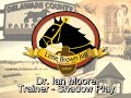 dr. ian moore, a veterinarian turned trainer, is living a boyhood dream as his 3-year-old pacer shadow play is the 5-2 second favorite in the first of three eliminations for thursdays $551,225 little brown jug.