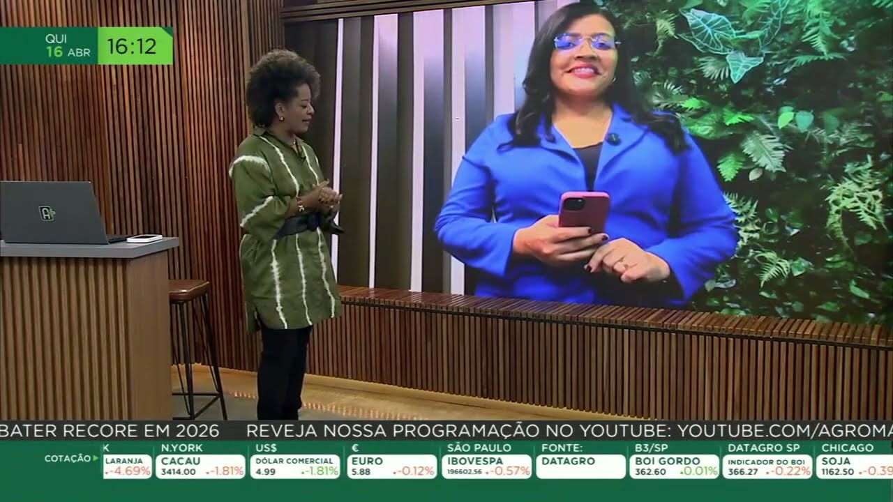 Piauí conquista 3º lugar em área plantada de algodão