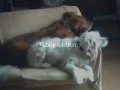 Tubby and Kirby