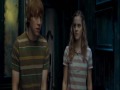 Ron and Hermionie - Making Memories