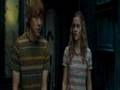 Ron and Hermionie - Making Memories