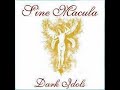 Sine Macula - Swan Transfiguration Sine Macula - Swan Transfiguration