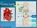 Part 1: pcc_reviewer Valvular Heart Disease
