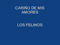 los felinos    flecha de amor