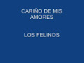los felinos    flecha de amor