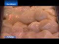 EuroNews - Futuris - le mystère des allergies EuroNews - Futuris - le mystère des allergies