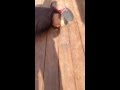The Best Cinnamon Challenge Ever