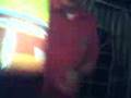 videos de Uschi's Abschiedsparty - Haake
