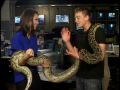 Reptiles That Don't Make Good Pets