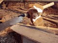 http://www.e-toko.com/本物のクマをめざすゴローの挑戦The challenge of Goroh