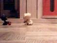 The Littlest Pet Shops - Le Nouvel Ami