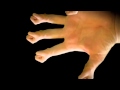 Hand Fingers - fingers, hand, hands, weird, wtf, funny
