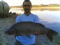 pesca siluro caspe pesca siluro caspe