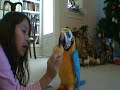 Incredible  speaking parrot !!!!!