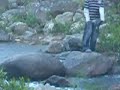 Amigos De Campamento