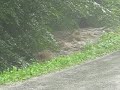 Po nalivu