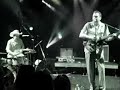 King Louie Combo - Honey Bee