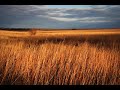 Esa Einai by Karen Davis (w/ Lyrics+translation)