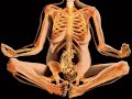 anatomia e arte