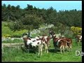 Compostelle 2