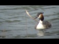 Wildlife Files April 30th 2009