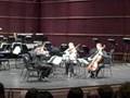 videos de The Earth Suite: Island - Daniel Halle