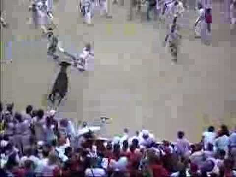 Pamplona Bull Run 2006