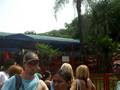 Os Fura Fila No BoOmeranG !!!
